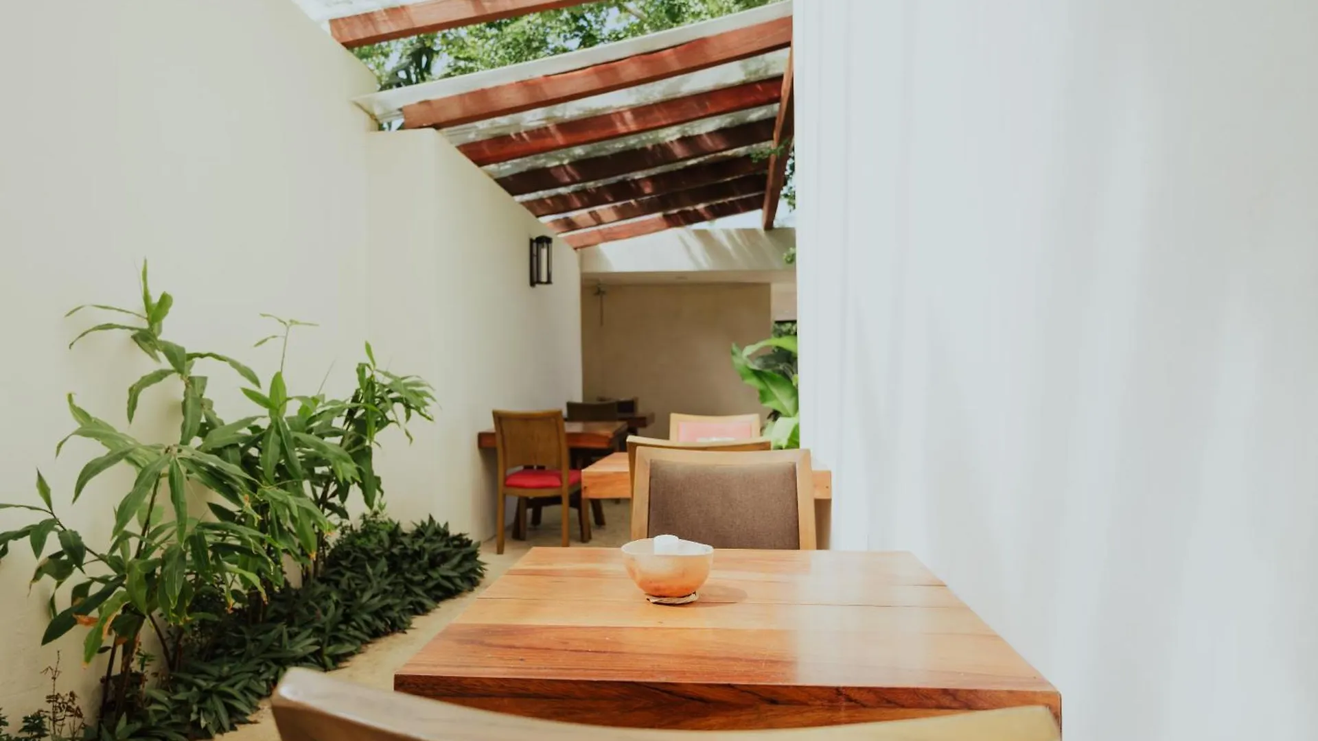 Ha'As Naj Suites Bananas Playa del Carmen Aparthotel